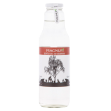 Magnum - Bērzu sula ar rabarberiem 750ml